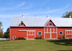 Horse Barns | Paris Building Sales